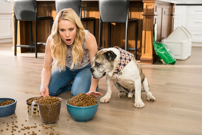Kristen Bell, good dog (Photo: Justin Lubin/NBC)